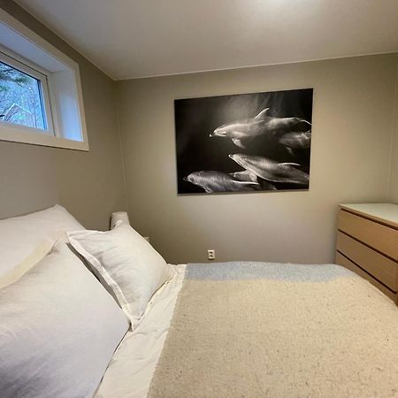 A, The Far End Of Lofoten, Top Apartment. Sorvagen Ngoại thất bức ảnh