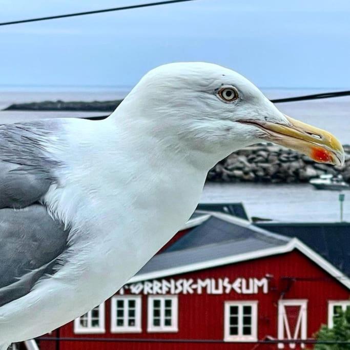 A, The Far End Of Lofoten, Top Apartment. Sorvagen Ngoại thất bức ảnh